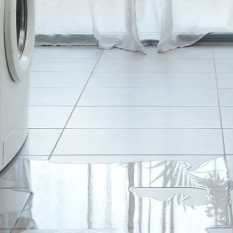 Appliance Leak Cleanup in Canaan, ME