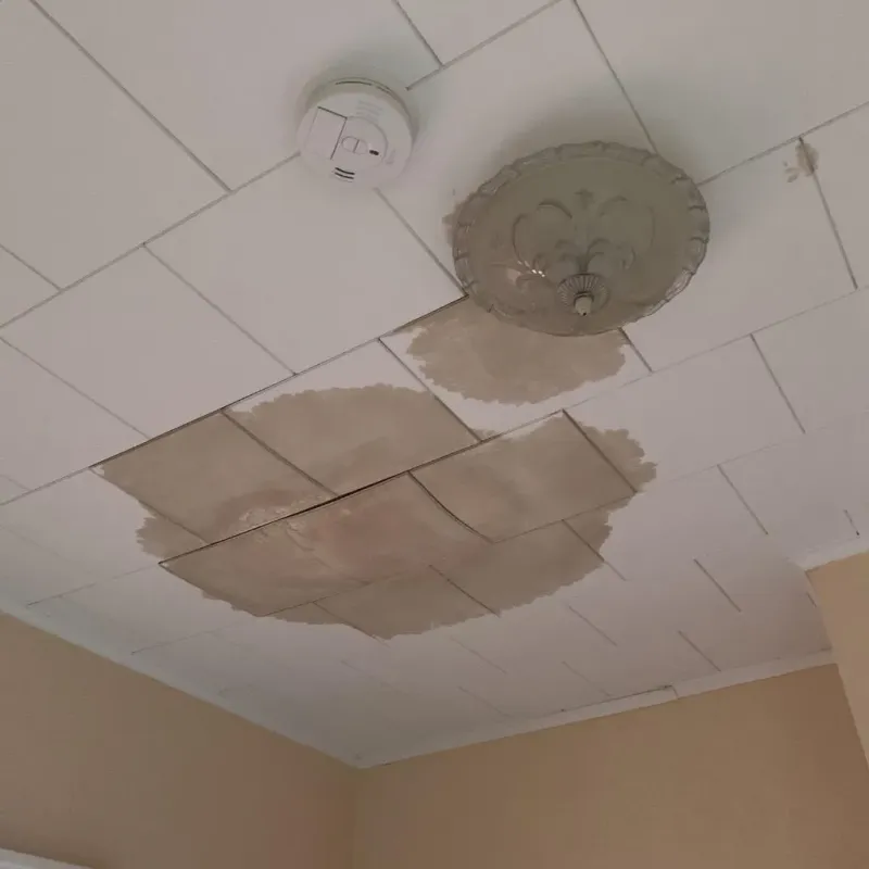 Ceiling Water Damage Repair in Canaan, ME
